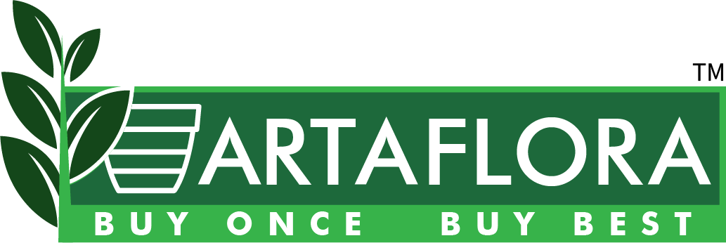 Artaflora-Buy Best Quality Plants and Planters for Home, Kitchen
